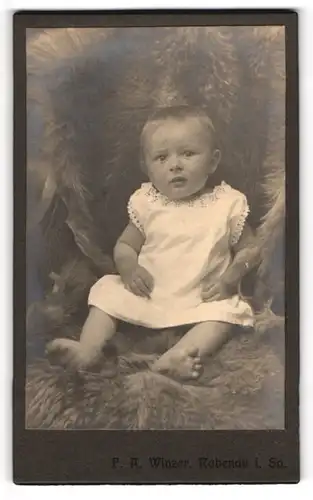 Fotografie F. A. Winzer, Rabenau i. Sa., Portrait niedliches Kleinkind im weissen Hemd auf Fell sitzend