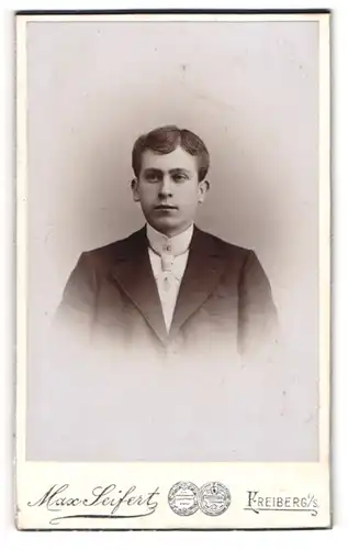 Fotografie Max Seifert, Freiberg i / S., Portrait junger Mann im Anzug mit Krawatte