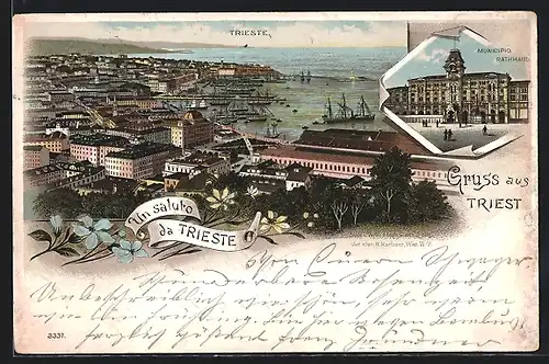Lithographie Trieste, Panorama, Municipio
