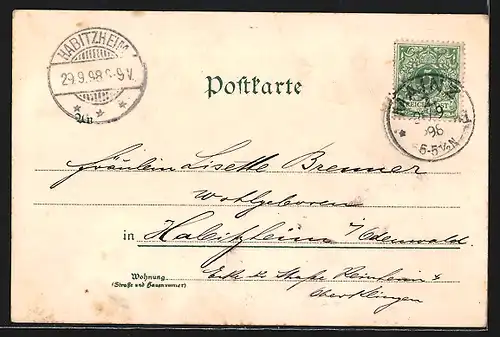 Lithographie Mainz, Dom von Westen, Ortsansicht aus der Vogelschau