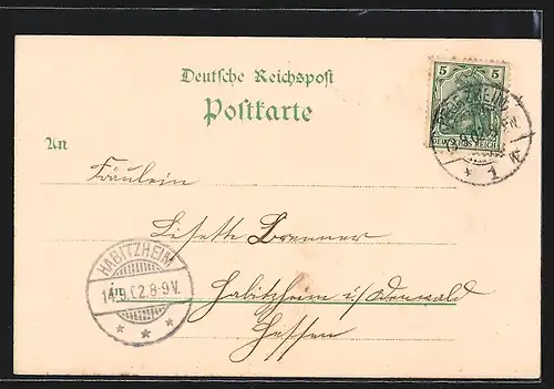Lithographie Pforzheim, Kaiser Wilhelm-Denkmal, Rathaus, Kriegerdenkmal, Sedanderdenkmal