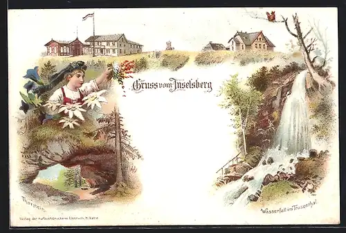 Lithographie Brotterode, Inselsberg, Wasserfall im Trusenthal, Thorstein