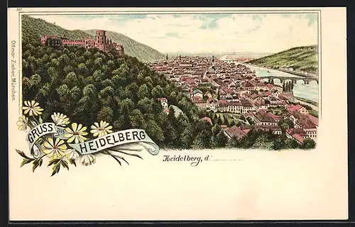 Lithographie Heidelberg, Totalansicht aus der Vogelschau