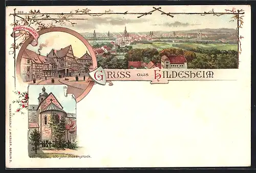 Lithographie Hildesheim, Andreasplatz, Panorama & 1000 jähr. Rosenstock