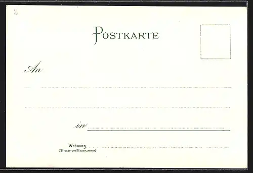 Lithographie Hildesheim, Templerhaus und Haus Wedekind, Dom mit Rosenstrauch um 1900