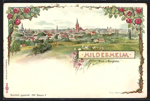 Lithographie Hildesheim, Ortsansicht, Blick v. Bergholz