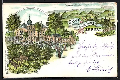 Seiden-Imitations-AK Erfurt, Gasthaus Waldhaus, Panorama
