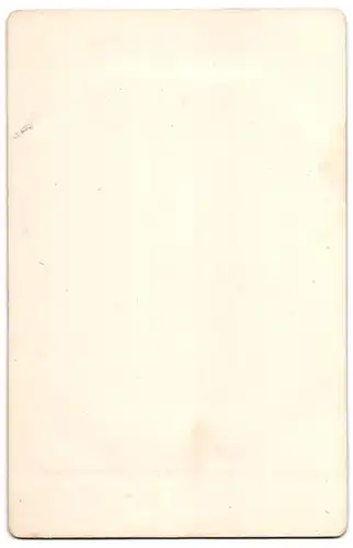 Fotografie F. & O. Brockmann`s Nachf., Dresden, Gemälde: Die heilige Caecilie, nach Carlo Dolce
