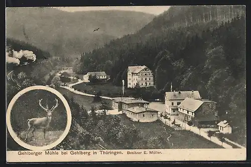 AK Gehlberg in Thüringen, Gehlberger Mühle, Bes. E. Möller