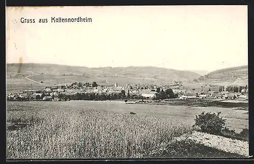 AK Kaltennordheim, Totalansicht aus der Vogelschau