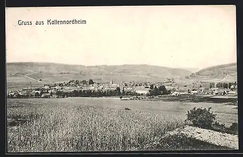 AK Kaltennordheim, Totalansicht aus der Vogelschau