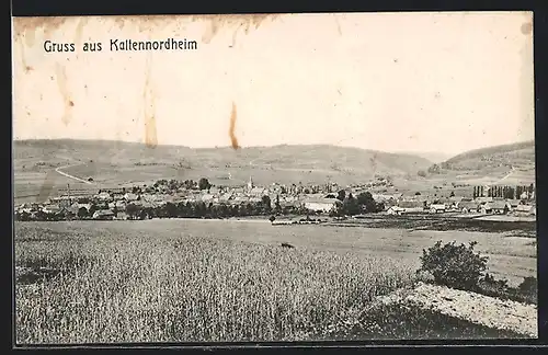 AK Kaltennordheim, Totalansicht aus der Vogelschau