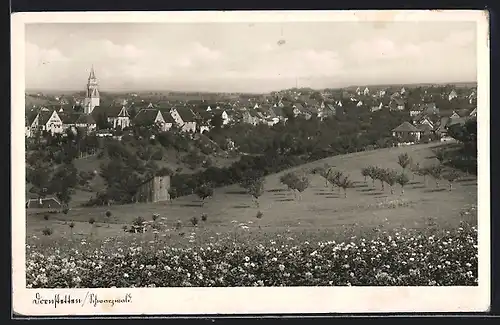 AK Dornstetten /Schwarzw., Ortsansicht mit Umgebung