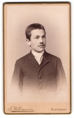 Fotografie F. Willmann, Stuttgart, Portrait junger Herr in modischer Kleidung mit Krawatte