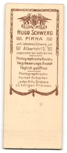 Fotografie Hugo Schwerg, Pirna, junger Mann im Anzug mit Ansteckblumen