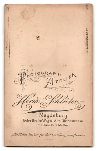 Fotografie Herm. Schlüter, Magdeburg, Portrait elegant gekleideter Herr mit Schnäuzer