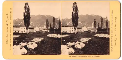 Stereo-Fotografie Gustav Liersch & Co., Berlin, Ansicht Ober-Ammergau, Blick nach Aufacker