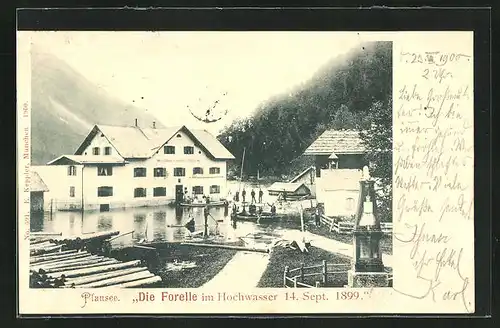 AK Breitenwang, Gasthaus Forelle am Plansee, Hochwasser am 14.9.1899