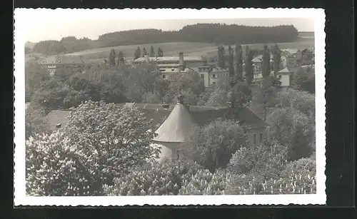 Foto-AK Gallspach, Blick über die Dächer der Ortschaft