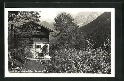 AK Ebbs, Pfandlhof mit Blick auf wilden Kaiser