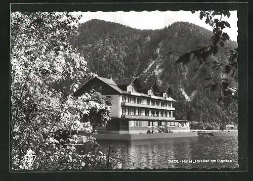 AK Breitenwang, Hotel Forelle am Plansee