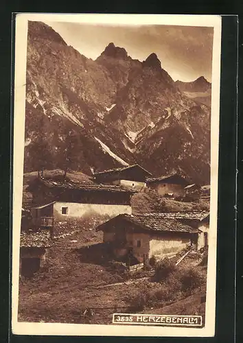 AK Neustift / Stubai, Gebäude der Herzebenalm