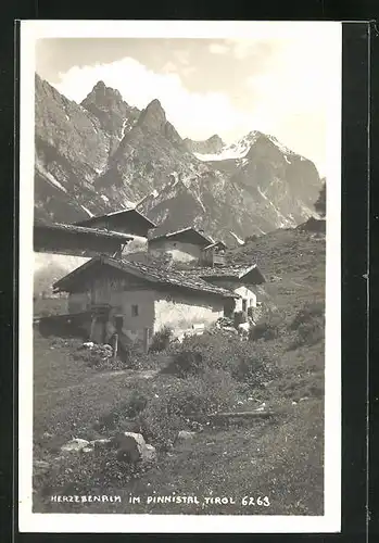 AK Neustift / Stubai, Herzebenalm im Pinnistal