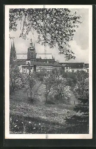 AK Prag / Praha, Veitsdom, Katedrála svatého Víta, Panorama vom Veitsdom