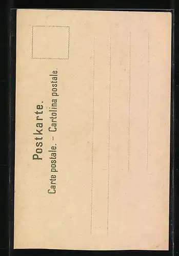 Lithographie Luzern, Ortsansicht mit Wasserthurm, Löwe