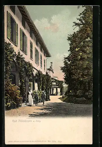 AK Bad Albisbrunn a. Albis, Strassenpartie mit grossem Gebäude