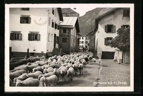 AK Zernez, Strassenpartie mit Schafsherde