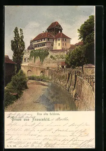 AK Frauenfeld, Das alte Schloss