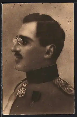 AK Prince Alexandrea, Heritier du Trone de Serbie