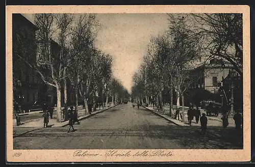 AK Palermo, Il viale della Libertia