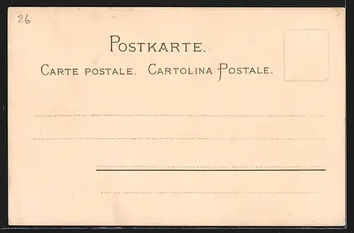 Lithographie Genova, Piazza de Ferrari, Via Carlo Felice