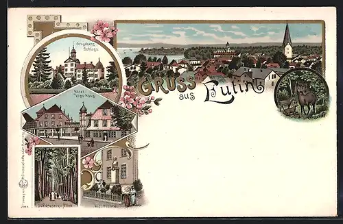 Lithographie Eutin, Hotel Voss-Haus, Panorama, Grossherz. Schloss
