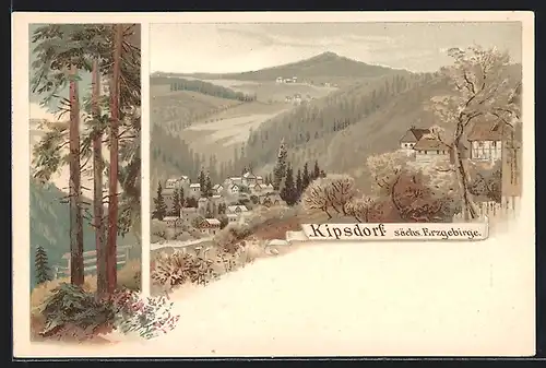 Lithographie Kipsdorf / Erz., Ortsansicht, Waldpartie