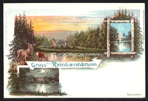 Lithographie Reinhardsbrunn, Partie am Wasser mit Hirschen