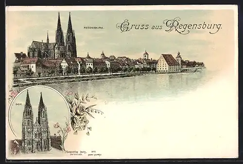 Lithographie Regensburg, Ansicht vom Dom, Stadt-Panorama