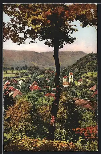 AK Kirchleerau, Ortsansicht bei Sonnenschein