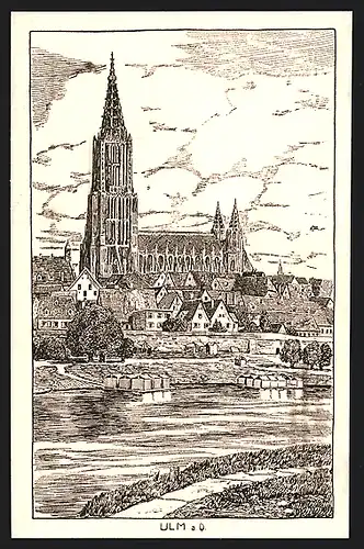 Künstler-AK Ulm a. D., Münster im Stadtbild