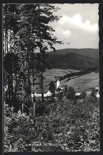 AK Harbach im Waldviertel, Ortsansicht mit Kirche