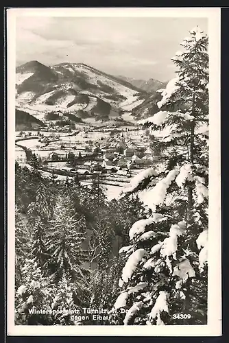 AK Türnitz, Ortsansicht gegen Eibel