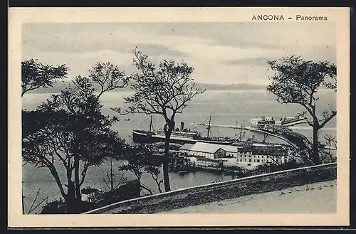 AK Ancona, Panorama