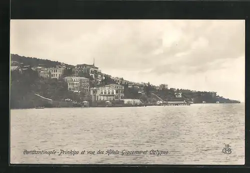 AK Constantinople, Prinkipo et vue des Hotels Giacomo et Calypso