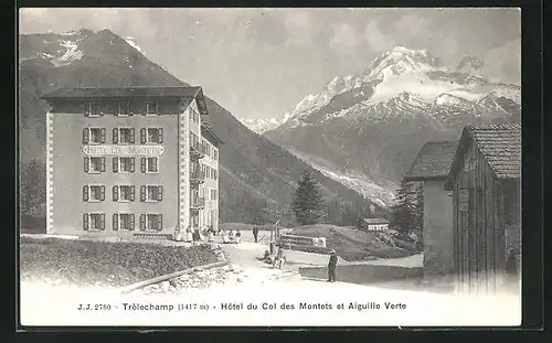AK Trelechamp, Hôtel du Col des Montets et Aiguille Verte