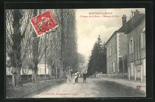 AK Montigny-la-Resle, Château de la Resle, L`Avenue du Parc