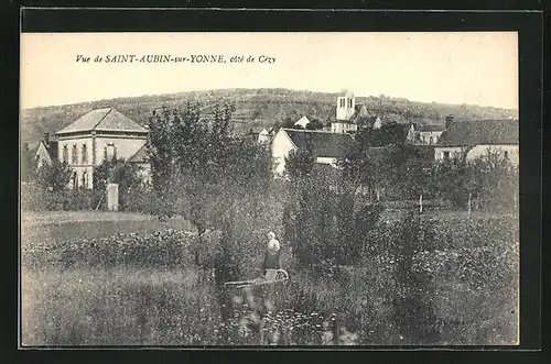 AK Saint-Aubin-sur-Yonne, Une vue, Côté de Cézy