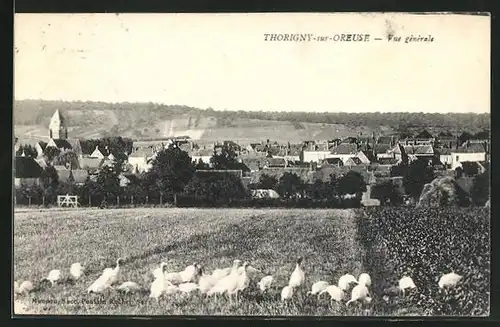 AK Thorigny-sur-Oreuse, Blick über Felder auf den Ort