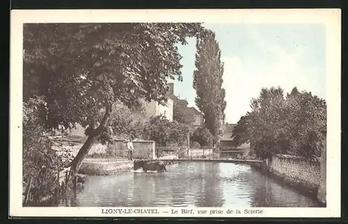 AK Ligny-le-Chatel, Le Bief, vue prise de la Scierie